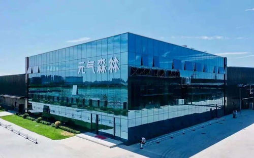 元?dú)馍趾螒帧胺ツ竟ぁ?？——臻鑫玖特別策劃，揭秘品牌破局之道